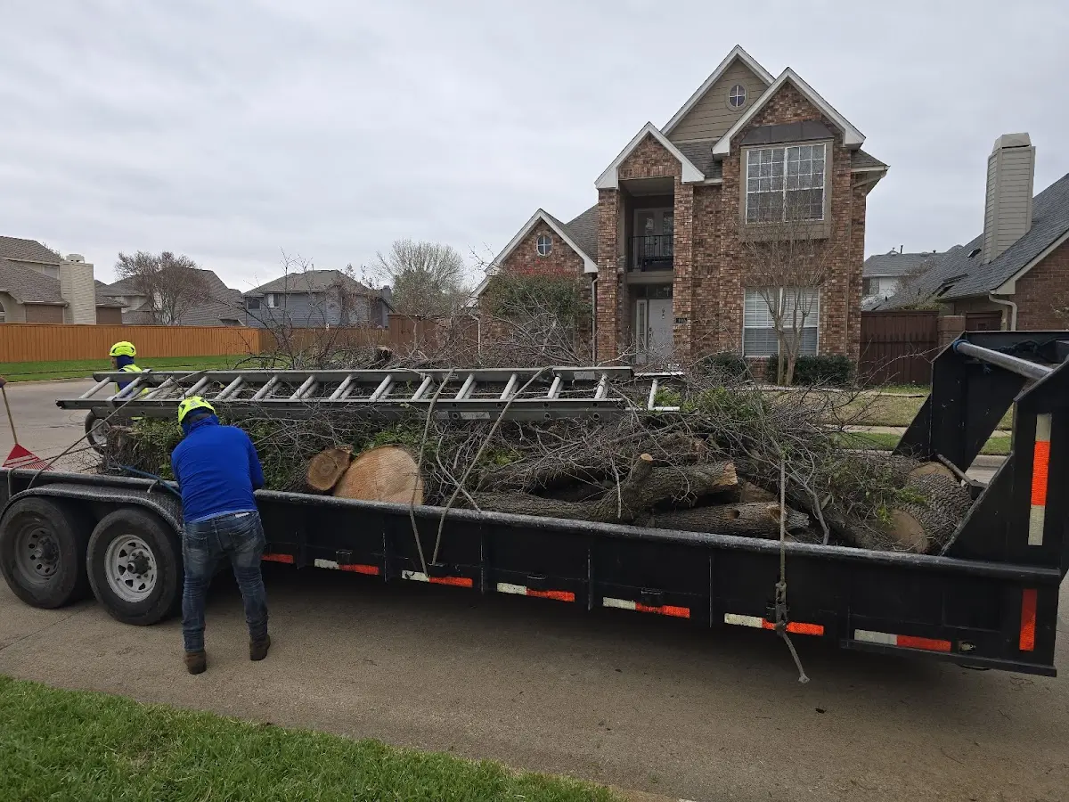 Expert Lot Clearing with proper safety equipment in Bremond